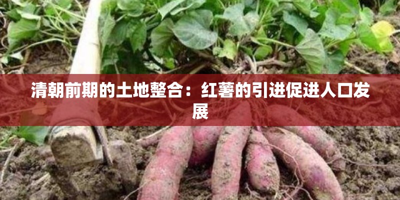清朝前期的土地整合：红薯的引进促进人口发展