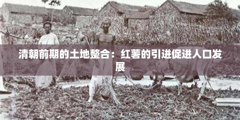 清朝前期的土地整合：红薯的引进促进人口发展