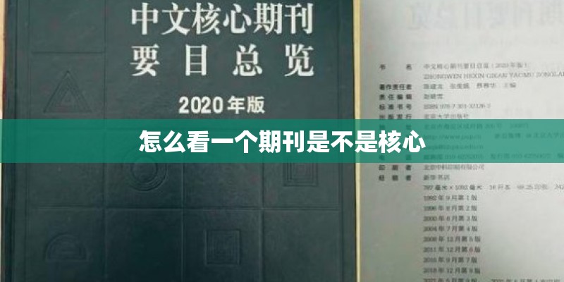 怎么看一个期刊是不是核心