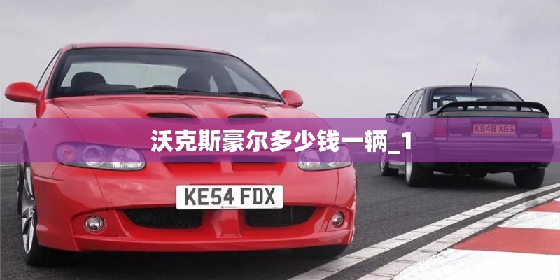 沃克斯豪尔多少钱一辆_1