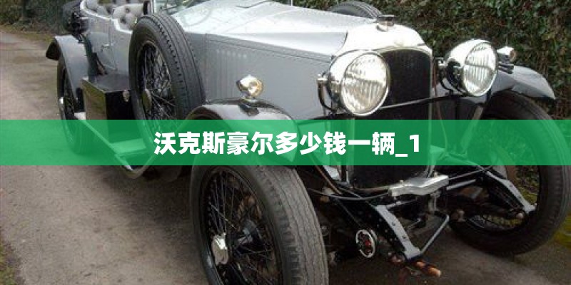 沃克斯豪尔多少钱一辆_1