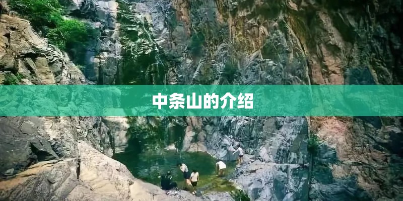 中条山的介绍