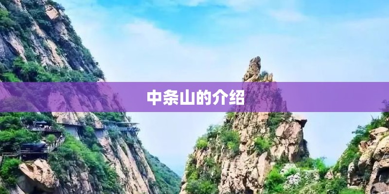 中条山的介绍