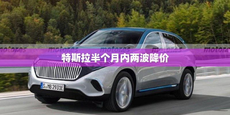 特斯拉半个月内两波降价