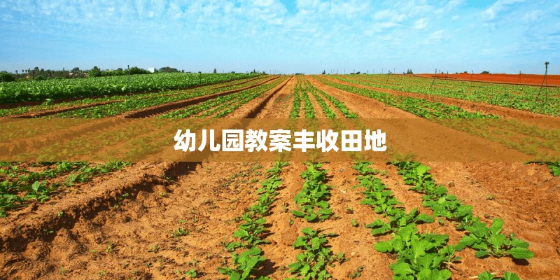 幼儿园教案丰收田地