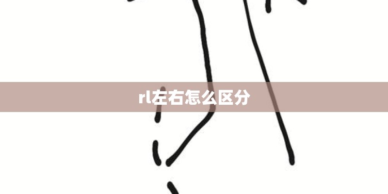 rl左右怎么区分 rl左右怎么区分