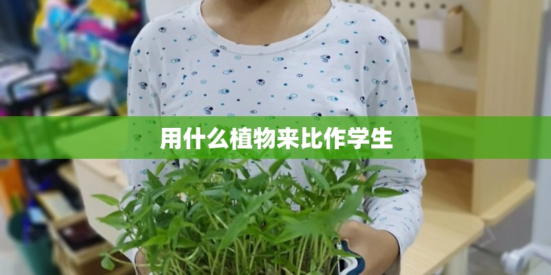 用什么植物来比作学生