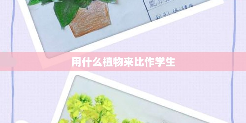 用什么植物来比作学生