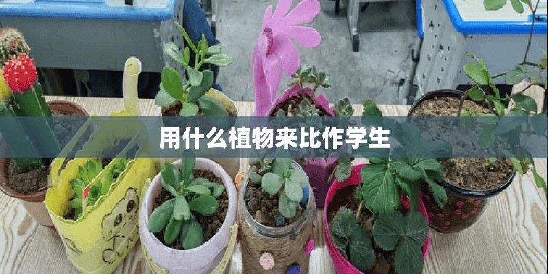 用什么植物来比作学生