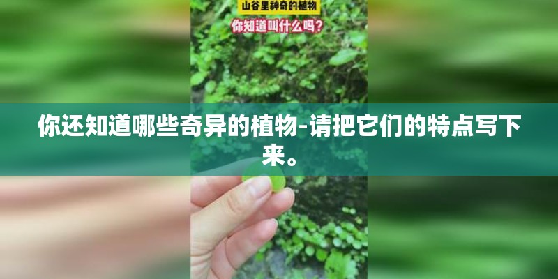 你还知道哪些奇异的植物-请把它们的特点写下来。 你还知道哪些奇异的植物-请把它们的特点写下来。