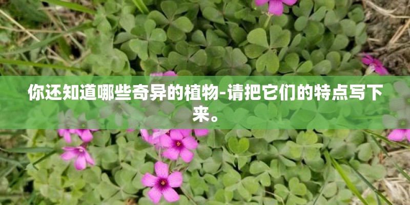 你还知道哪些奇异的植物-请把它们的特点写下来。 你还知道哪些奇异的植物-请把它们的特点写下来。