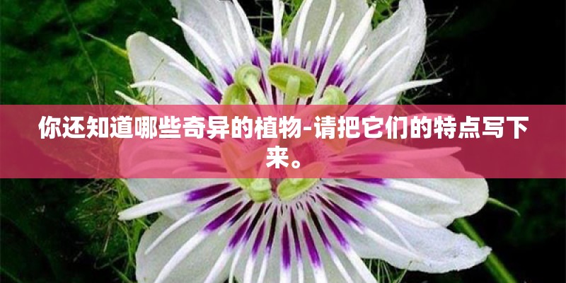 你还知道哪些奇异的植物-请把它们的特点写下来。 你还知道哪些奇异的植物-请把它们的特点写下来。