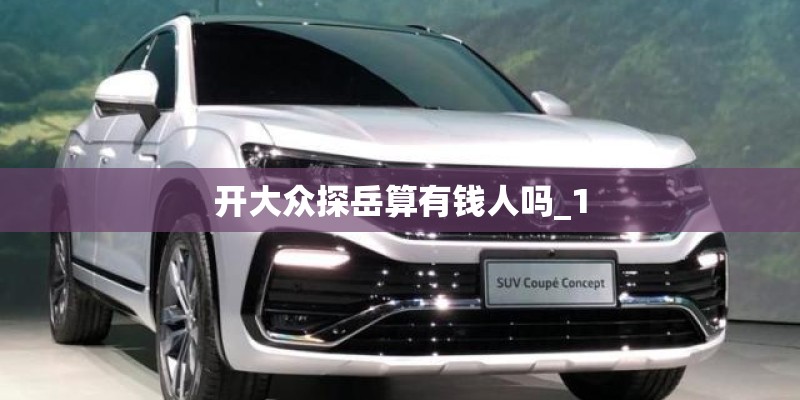 开大众探岳算有钱人吗_1 开大众探岳算有钱人吗_1