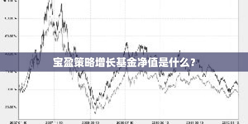 宝盈策略增长基金净值是什么？