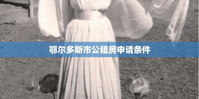 鄂尔多斯市公租房申请条件