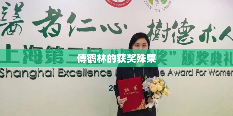 傅鹤林的获奖殊荣