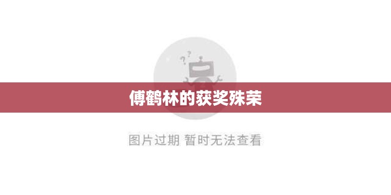 傅鹤林的获奖殊荣