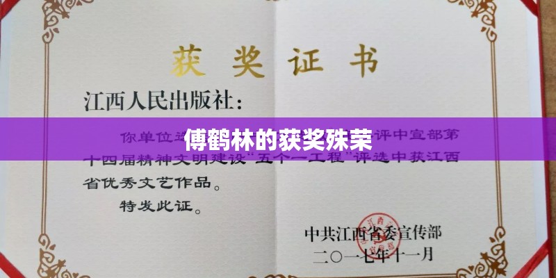 傅鹤林的获奖殊荣
