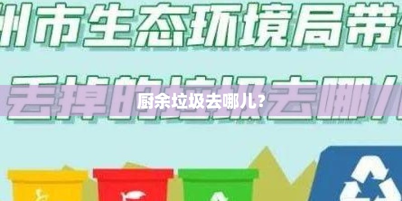 厨余垃圾去哪儿？
