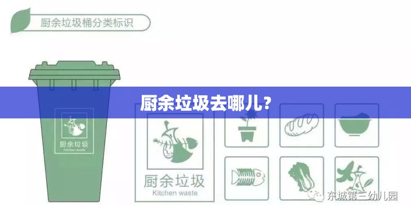 厨余垃圾去哪儿？