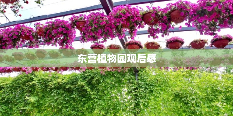 东营植物园观后感