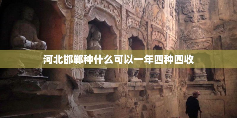 河北邯郸种什么可以一年四种四收