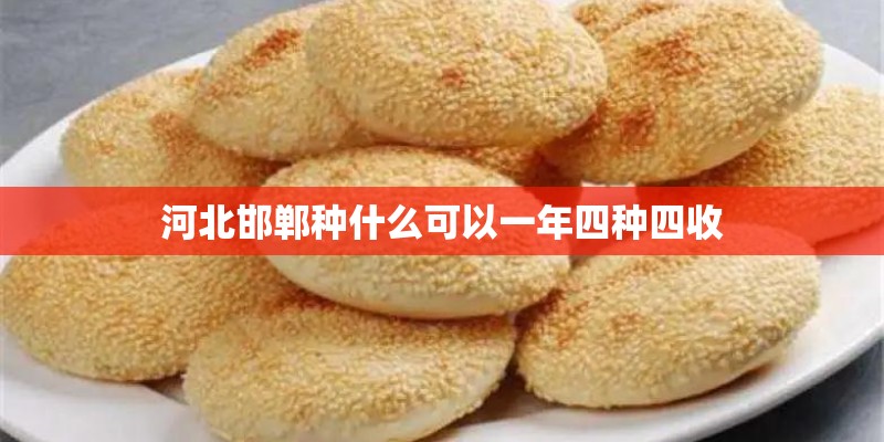 河北邯郸种什么可以一年四种四收