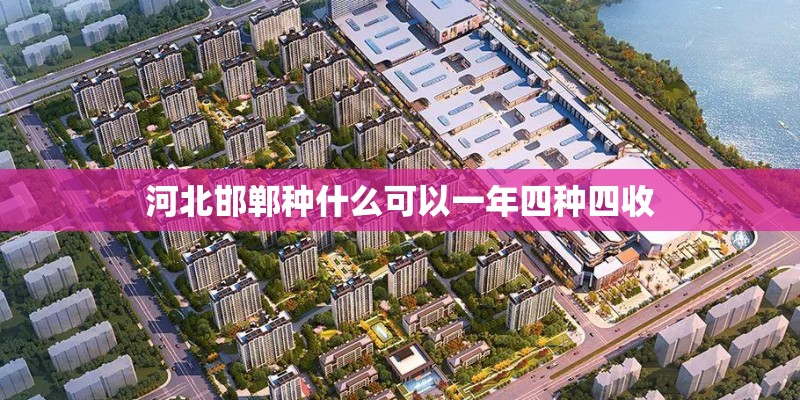 河北邯郸种什么可以一年四种四收