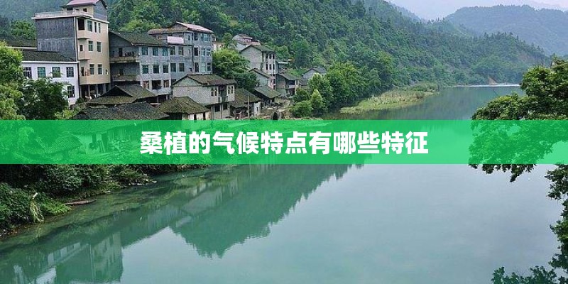 桑植的气候特点有哪些特征
