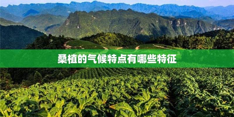 桑植的气候特点有哪些特征