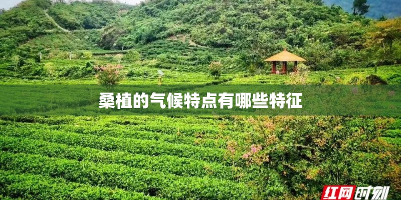 桑植的气候特点有哪些特征