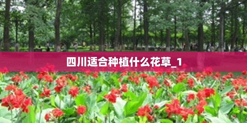 四川适合种植什么花草_1