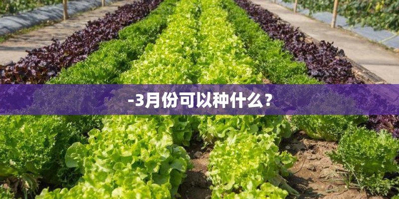 -3月份可以种什么？