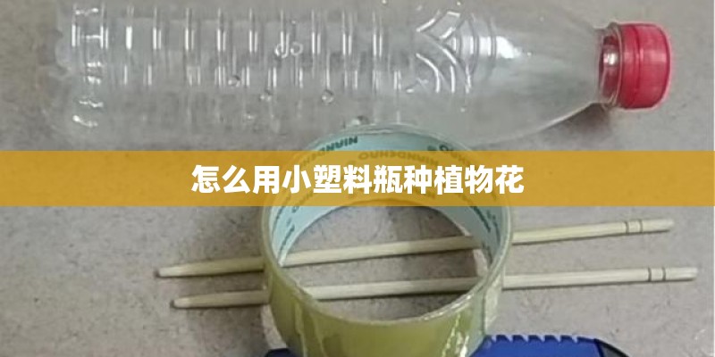 怎么用小塑料瓶种植物花