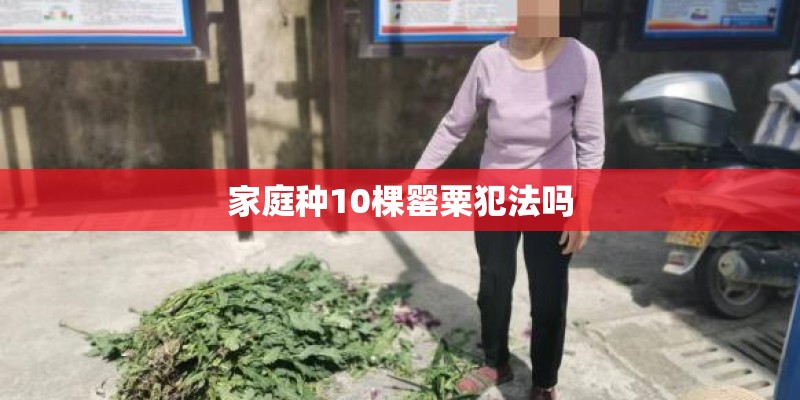 家庭种10棵罂粟犯法吗