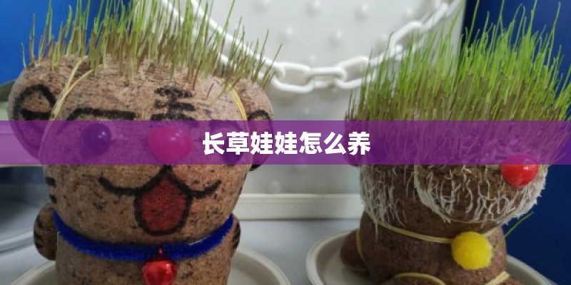 长草娃娃怎么养