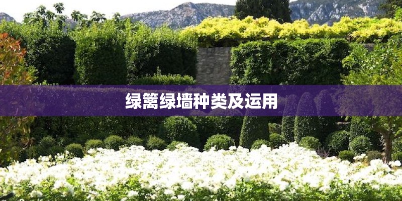 绿篱绿墙种类及运用 绿篱绿墙种类及运用