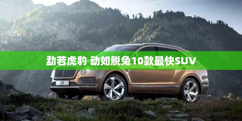 勐若虎豹 动如脱兔10款最快SUV