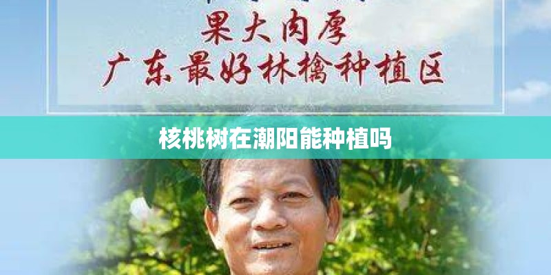 核桃树在潮阳能种植吗
