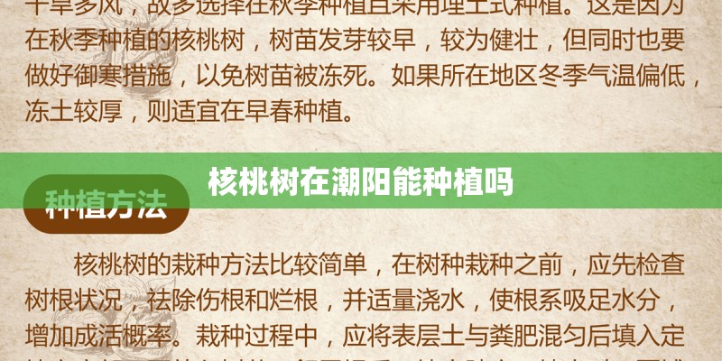 核桃树在潮阳能种植吗