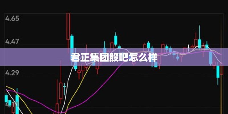 君正集团股吧怎么样
