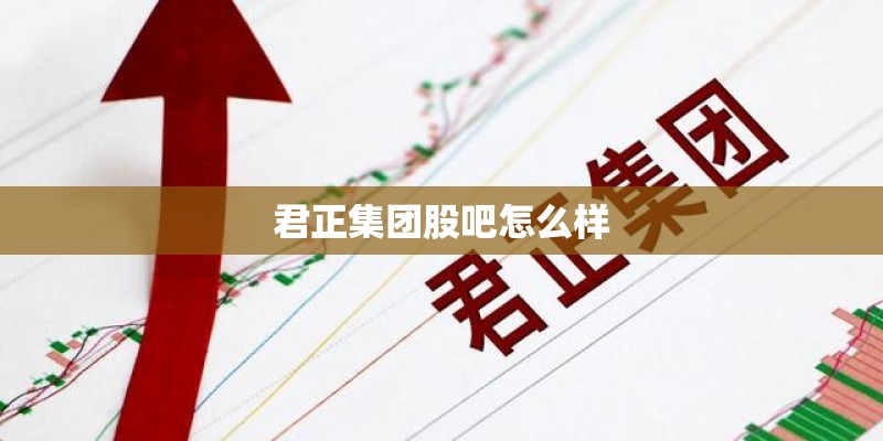 君正集团股吧怎么样