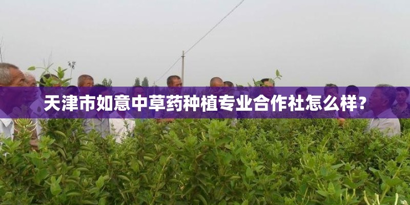天津市如意中草药种植专业合作社怎么样？