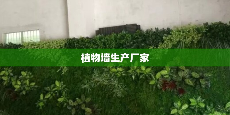 植物墙生产厂家