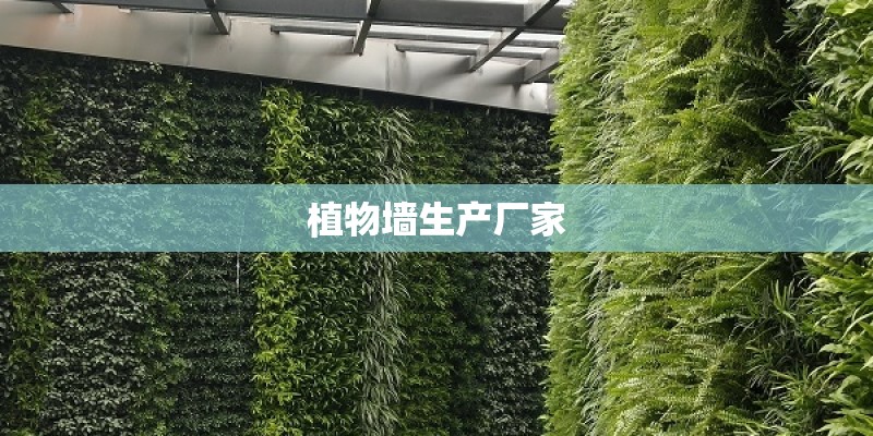 植物墙生产厂家