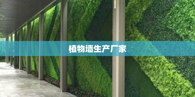 植物墙生产厂家