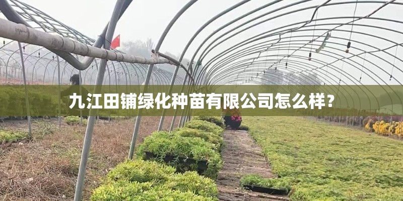 九江田铺绿化种苗有限公司怎么样？