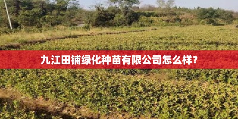 九江田铺绿化种苗有限公司怎么样？