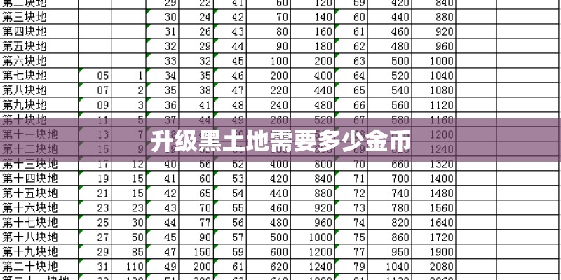 升级黑土地需要多少金币