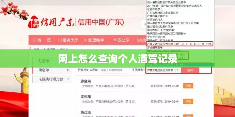 网上怎么查询个人酒驾记录